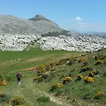 El Emigrante